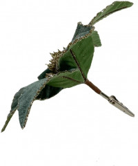 Цветок декоративный на клипсе «Пуансеттия» - Фото 2