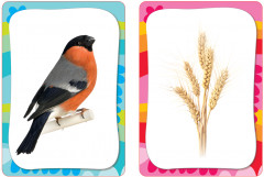 Развиваем внимание и память - Фото 1