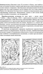 Иллюзии, галлюцинации и бредовые расстройства - Фото 4