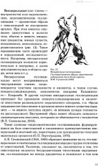 Иллюзии, галлюцинации и бредовые расстройства - Фото 10