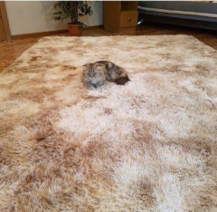 Пушистый ковер - Фото 1