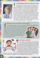 Первая энциклопедия для маленького любознашки - Фото 1