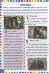 Первая энциклопедия для маленького любознашки - Фото 2