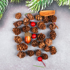 Набор новогоднего декора «Пряные шишки» - Фото 1