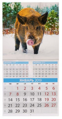 Календарь на скрепке «Символ года» 2019 год - Фото 1