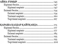 Бейбарыс сұлтан - Фото 2