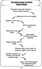 Ұшқалақ - Фото 4