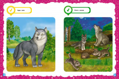 Основы дошкольных знаний для детей 2-3 лет. Годовой курс занятий - Фото 5