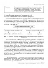 Инфекции мочевых путей у детей. Руководство по диагностике и лечению - Фото 5