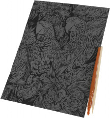 Набор для скретчинга «Попугаи» - Фото 1