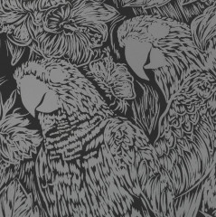 Набор для скретчинга «Попугаи» - Фото 3