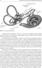 Головокружение и неустойчивость: современные рекомендации по диагностике и лечению - Фото 5