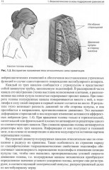 Головокружение и неустойчивость: современные рекомендации по диагностике и лечению - Фото 7
