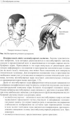 Головокружение и неустойчивость: современные рекомендации по диагностике и лечению - Фото 8