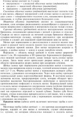 Медицинская помощь женщине с гинекологическими заболеваниями в различные периоды жизни - Фото 9