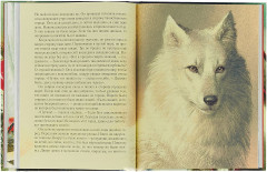 Кольцо белого волка - Фото 2