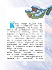 Волосы Зимней волшебницы - Фото 4