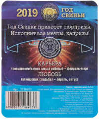 Монета-гороскоп «Близнецы» - Фото 4