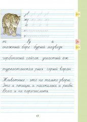 Каллиграфическая пропись. 1-я ступень. Зелёные страницы - Фото 4