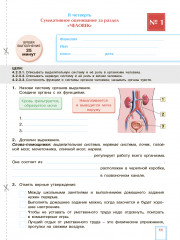 Естествознание. Критериальное оценивание: СОР, СОЧ по обновлённой программе. 4 класс - Фото 1