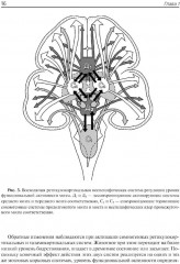 Клиническая электроэнцефалография (с элементами эпилептологии) - Фото 8