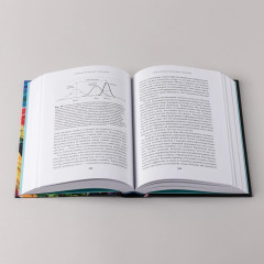 Скрытый источник сознания. В поисках природы субъективного опыта - Фото 2