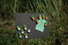 Магниты «Cactus» (6 шт.) - Фото 7