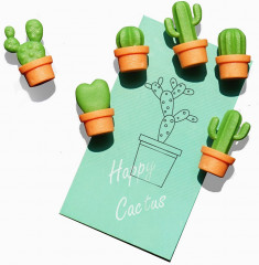 Магниты «Cactus» (6 шт.) - Фото 8
