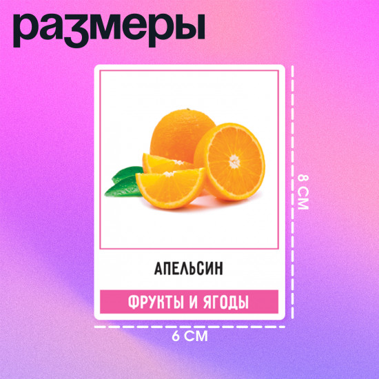 Развивающий набор по методике Глена Домана «200 слов. Учимся и развиваемся»