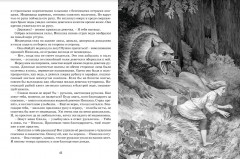 Три моста. Часть 1. Загадка Алкуда - Фото 3