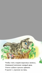 Лесные тропинки - Фото 3