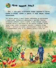 Энциклопедия дошкольника. Лес - Фото 1