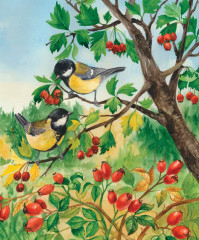 Энциклопедия дошкольника. Лес - Фото 2