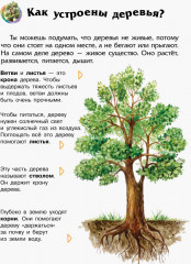 Энциклопедия дошкольника. Лес - Фото 3