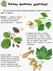 Энциклопедия дошкольника. Лес - Фото 5