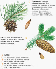 Энциклопедия дошкольника. Лес - Фото 6