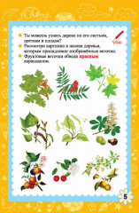 Блокнот занимательных заданий для детей 7-10 лет - Фото 6