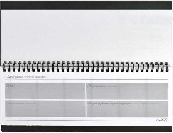 Планинг недатированный