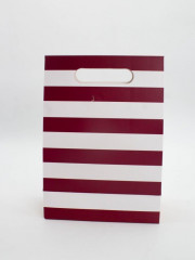 Пакет подарочный «Many stripes» - Фото 3