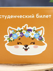 Обложка для студенческого билета «Summer fox» - Фото 1