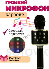 Микрофон - Фото 1