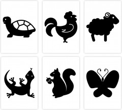 Набор картинок для новорожденных «Животные» - Фото 1