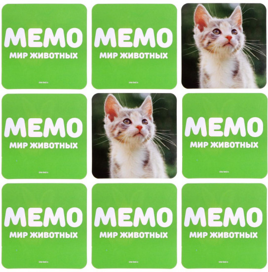 Игра настольная «Мемо. Мир животных»