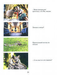 Тренажёр интеллекта для взрослых. Тренажёр интеллекта 60+. Комплект из 2 книг - Фото 8