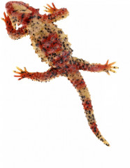 Игрушка тянучка «Ящерица» - Фото 3