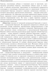 Детская неврология и нейрохирургия. Комплект из 2 книг - Фото 9