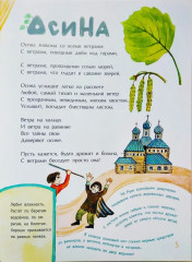 Деревья наших лесов - Фото 3