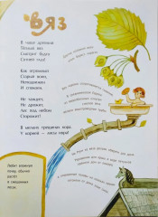 Деревья наших лесов - Фото 5