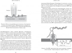 Виртуальный ты. Как создание цифровых близнецов изменит будущее человечества - Фото 4