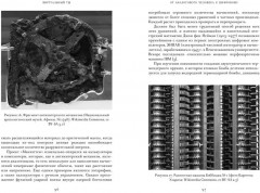 Виртуальный ты. Как создание цифровых близнецов изменит будущее человечества - Фото 6